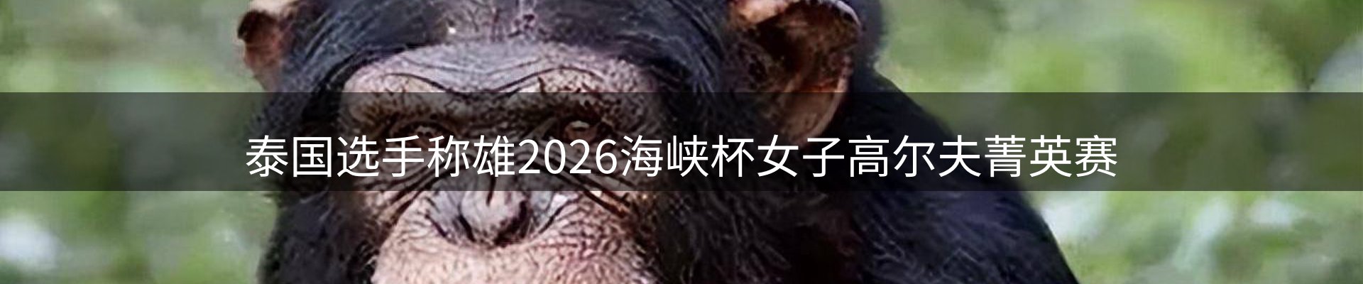 新闻展望